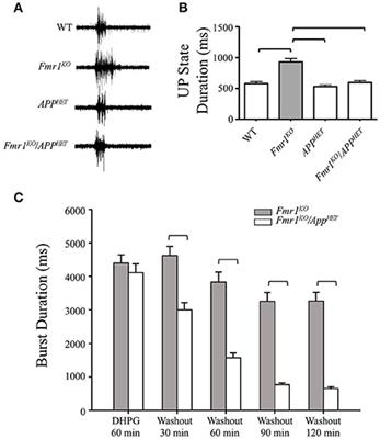 APP Causes Hyperexcitability in Fragile X Mice